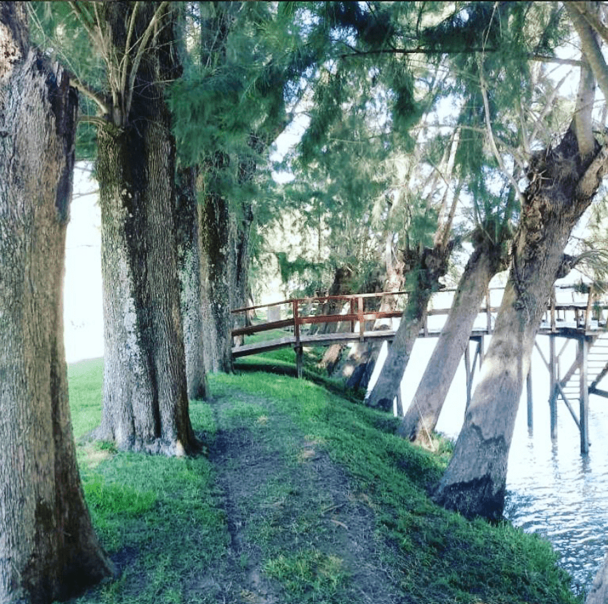 Senderos naturales de 4 km
